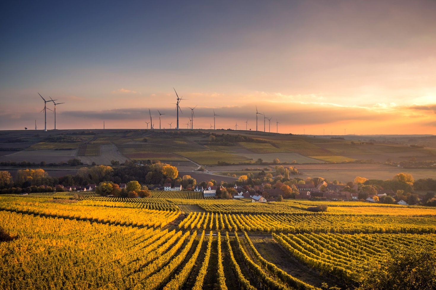 The Role of Education in Environmental Advocacy