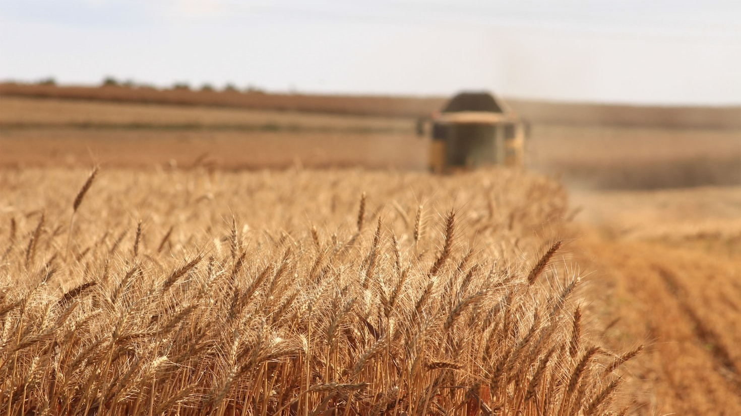 How Green Earth Agrobiz Tackles Waste Management Challenges