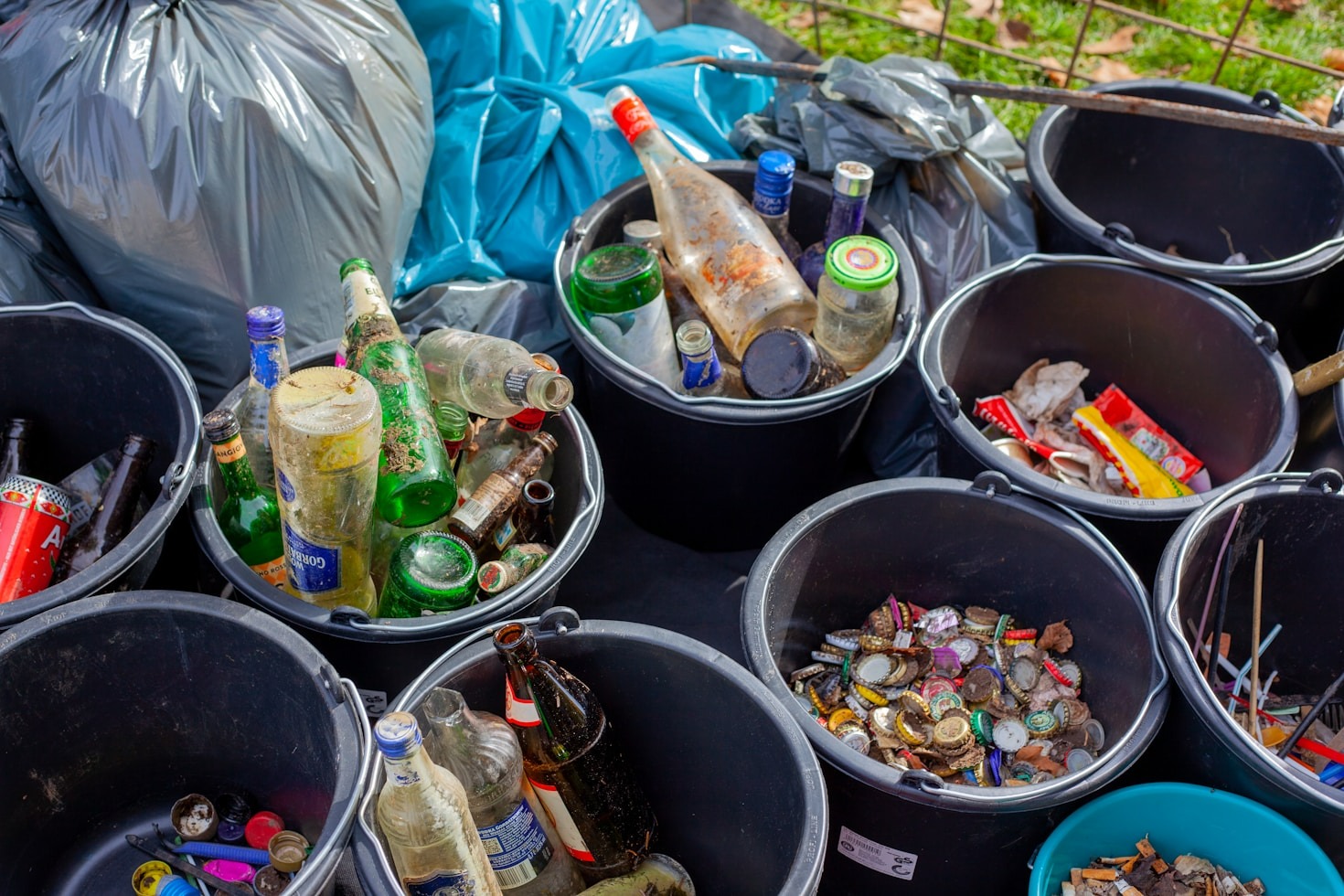 The Importance of Multidisciplinary Approaches in Sustainability