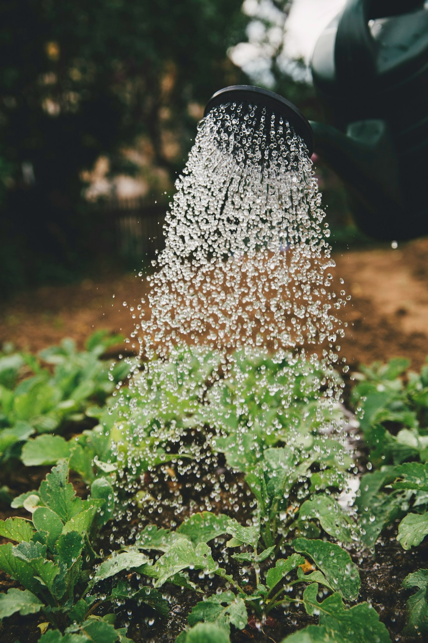 Achieving Sustainable Growth Through Expert Consulting